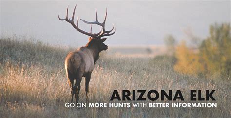 arizona draw odds calculator|Arizona Elk Hunting 2024 .